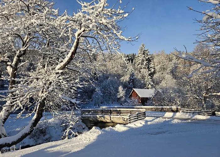 Landhotel Lacknerhof