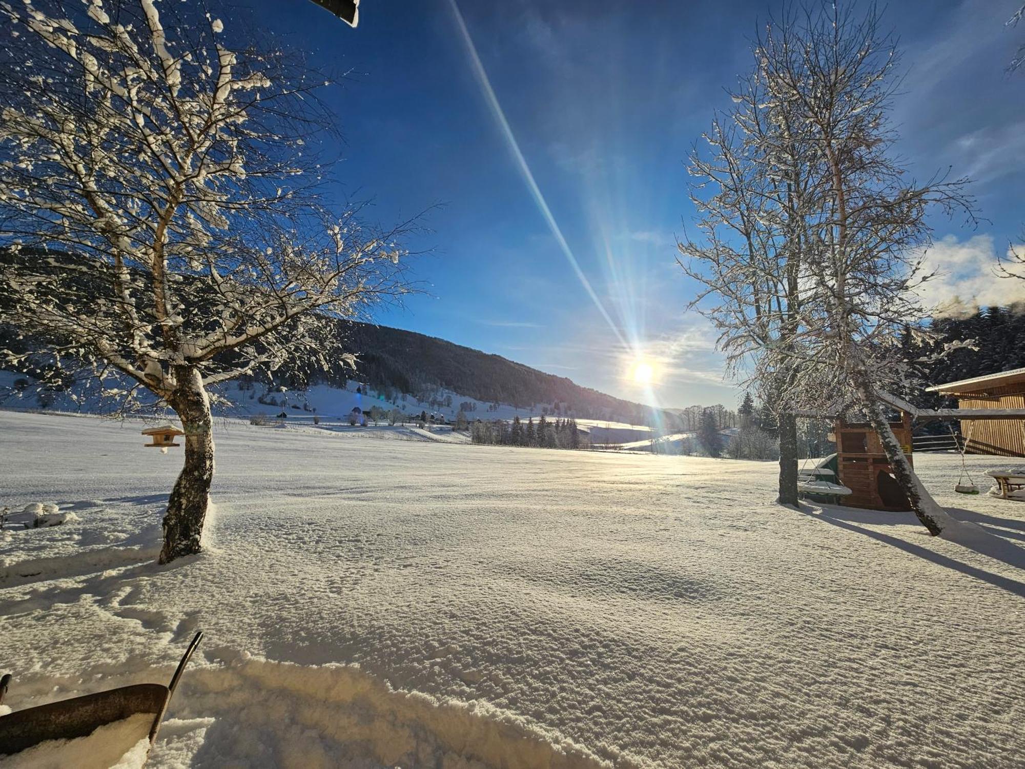 Landhotel Lacknerhof 3* Mariapfarr