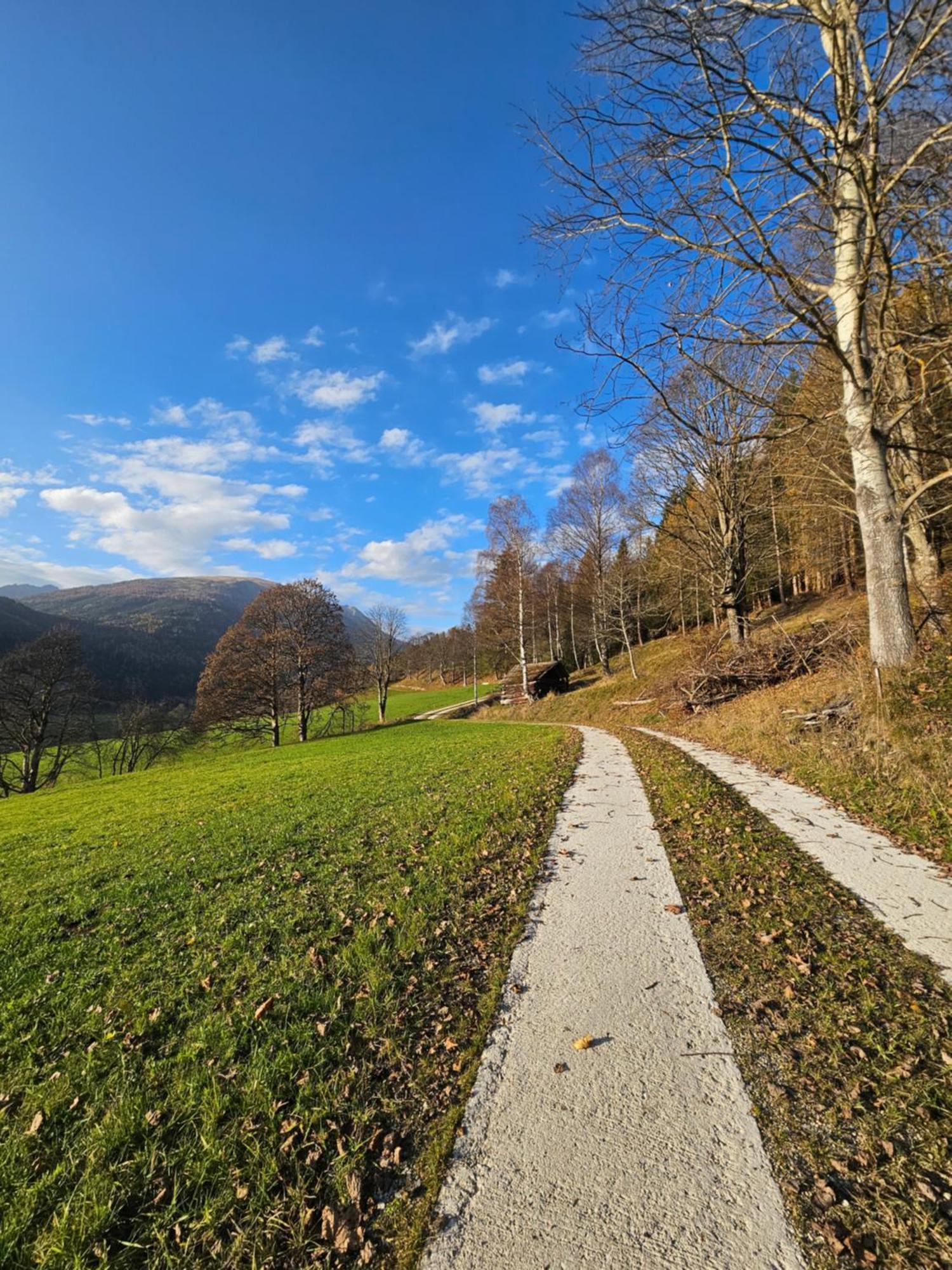 Hotel Lacknerhof 3*